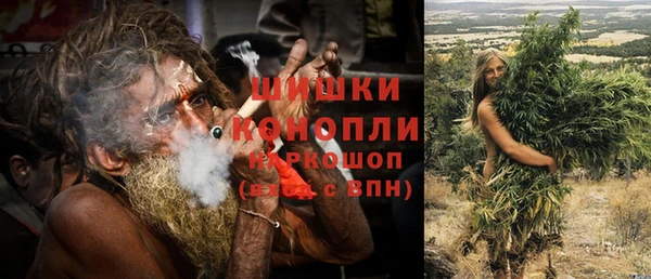 ПСИЛОЦИБИНОВЫЕ ГРИБЫ Лихославль