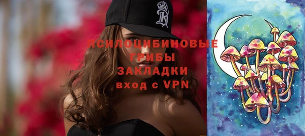 ПСИЛОЦИБИНОВЫЕ ГРИБЫ Лихославль